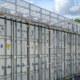 Container